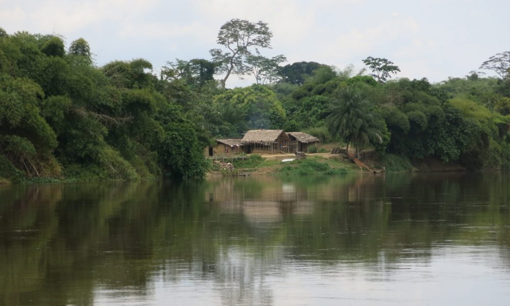 Habitations île aux singes Kisangani